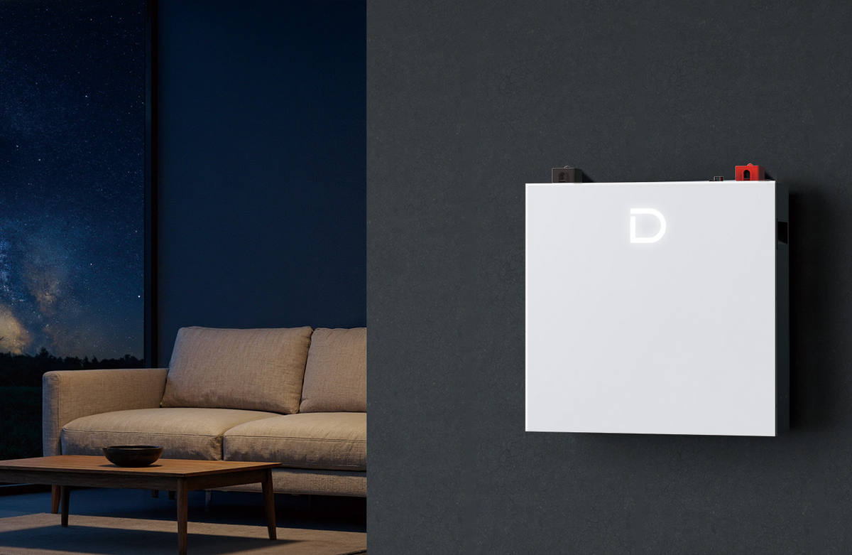Dyness DL5.0C Pro 5.12 kWh Battery - Demo Open Box Model - image 3