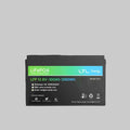Dyness 1,28kW Li-Ion Battery 100Ah BT