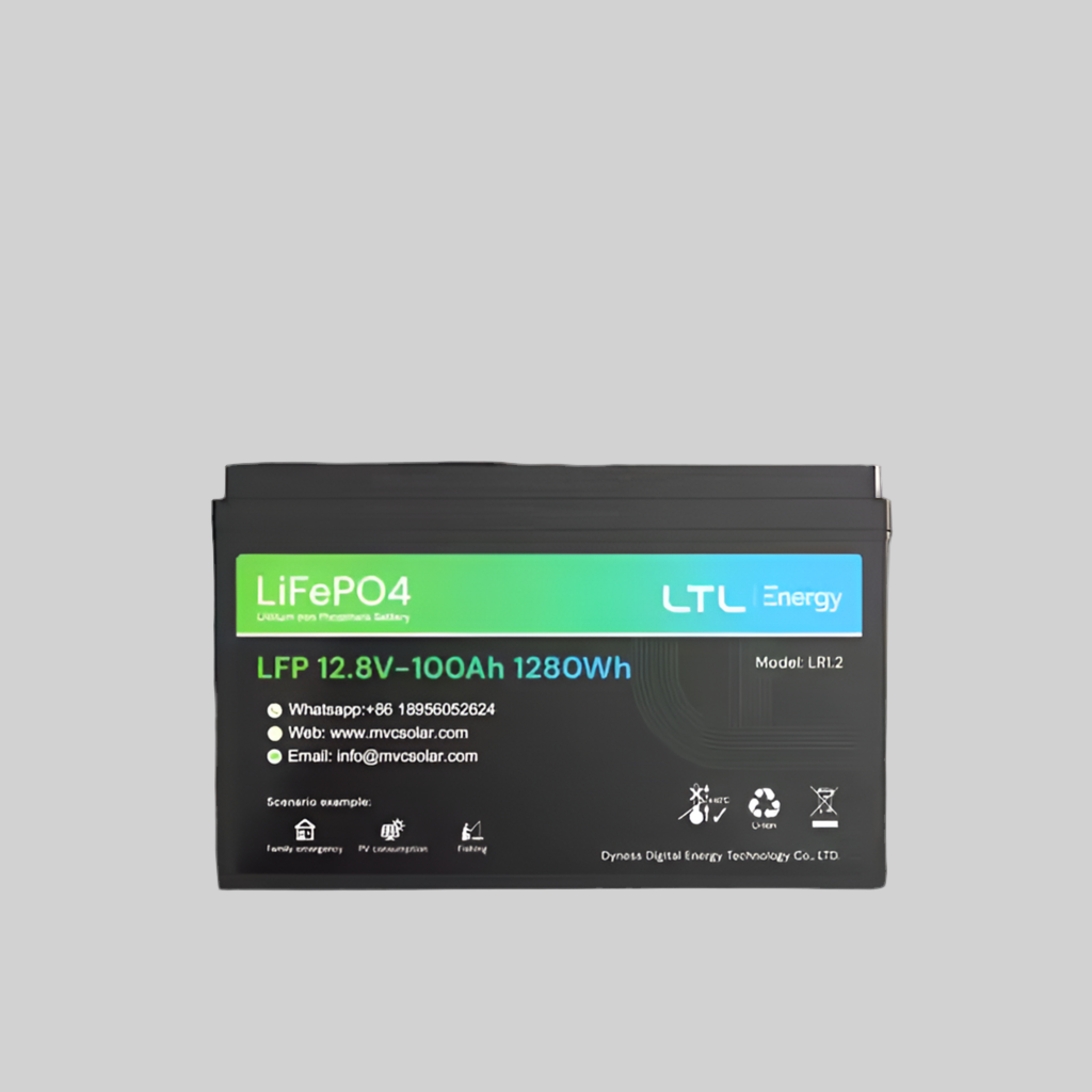 Dyness 1.28kWh Li-Ion Battery – 100Ah
