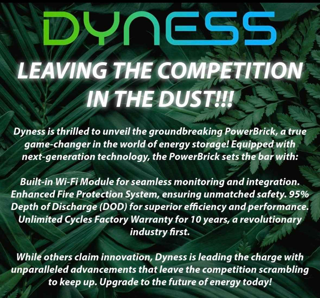 Dyness 14.3 kWh Powerbrick Li-Ion Battery – 51.2V - image 3