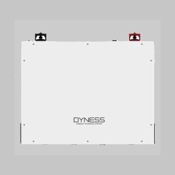 Dyness DL5.0C 5.12 kWh Li-Ion Battery (1C) DEMO MODEL