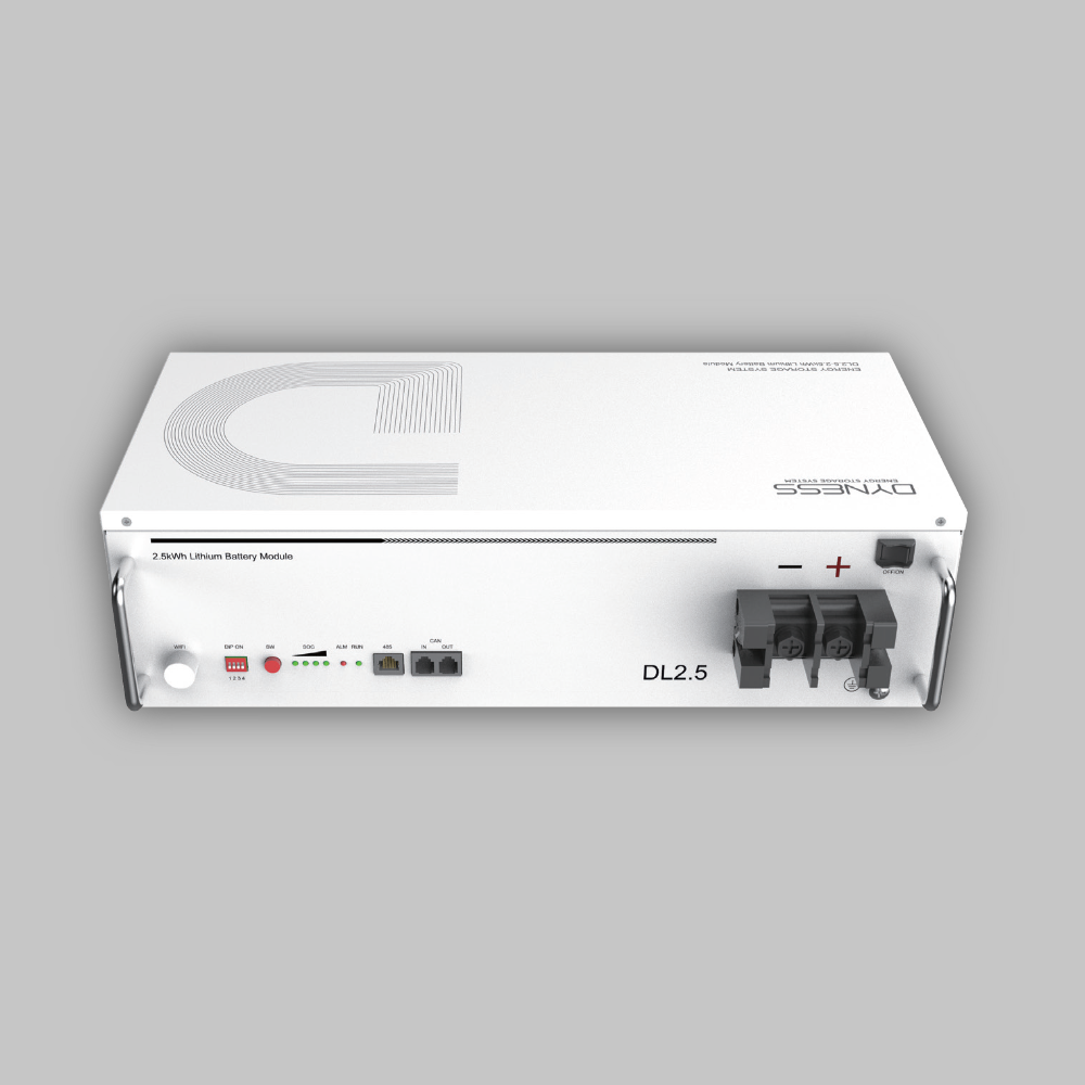 Dyness Battery DL 2.56kWh 100Ah 25,6V