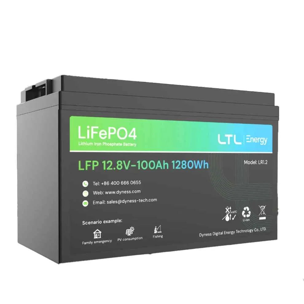 Dyness 1,28kW Li-Ion Battery 100Ah BT - image 2