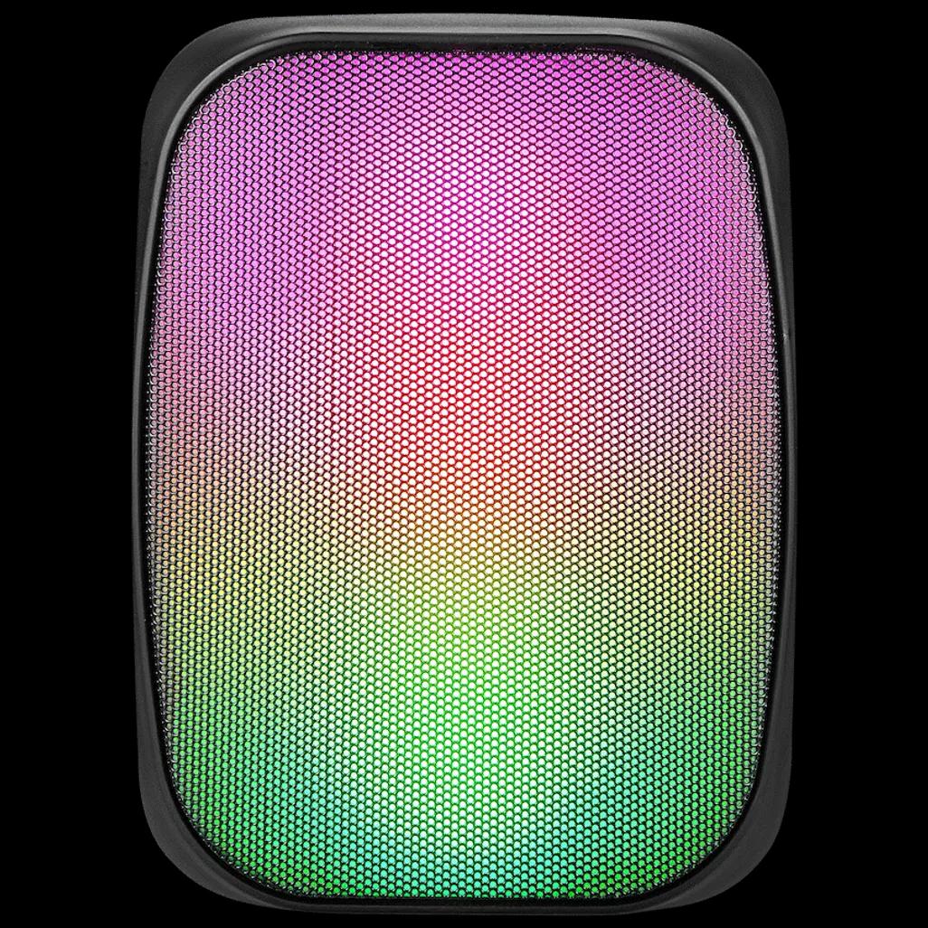 Pro Bass BlastWave Series BT Mini Speaker - Black